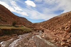 IMG_7697