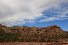 IMG_7739