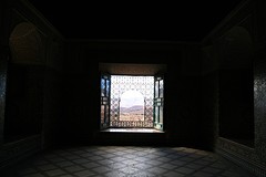 IMG_7830