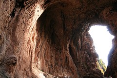 IMG_7995