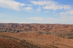 IMG_8164