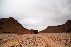 _MG_8204