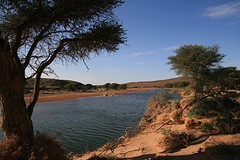 IMG_8219