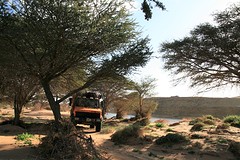 IMG_8220