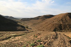 IMG_8229