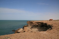 IMG_8361