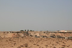 IMG_8372