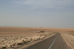 IMG_8376