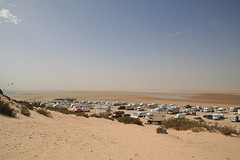 IMG_8391