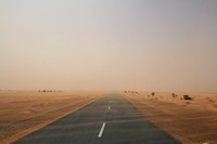 IMG_9187