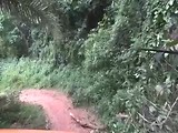 Jungle route Togo part 1
