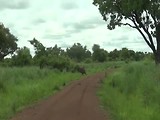 Pendjari National Parc