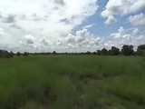 Pendjari National Parc