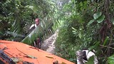 Op weg naar de chimpansees, Mariemberg Kameroen