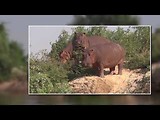 Africa Tour - Zimbabwe 2018 / UNIMOG