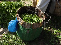 DSCN0677