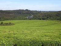 DSCN0670