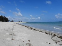DSCN0758