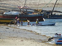 DSCN0790