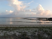DSCN0805