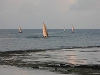 DSCN0806