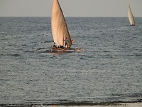 DSCN0807
