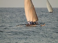 DSCN0811