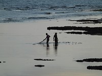 DSCN0817