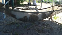 IMG_20181207_145737