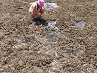 DSCN1301