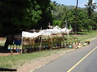 DSCN1337