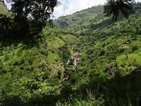 DSCN1343