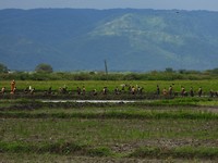 DSCN1492