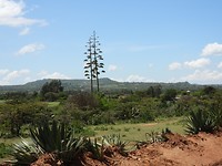 DSCN1561