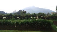 IMG_20190120_154714