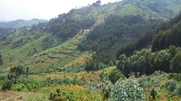 IMG_20190121_135654