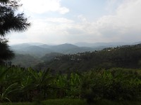 DSCN1806