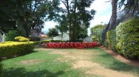 IMG_20190202_133342
