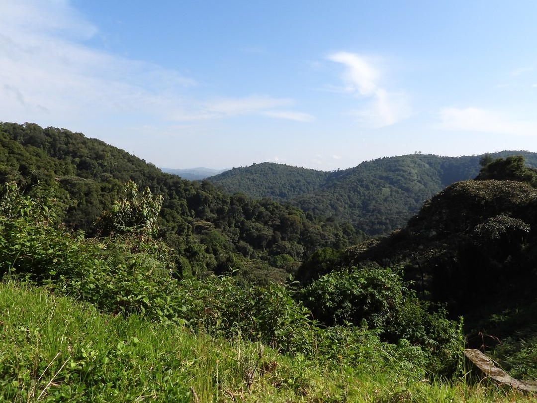 DSCN1846