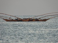DSCN2035