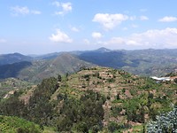 DSCN2099