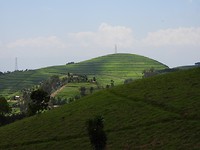 DSCN2107
