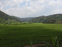 DSCN2120
