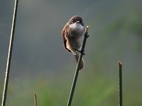 DSCN2160