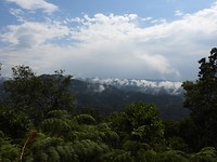 DSCN2236
