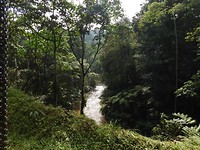 DSCN2246