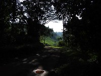 DSCN2292