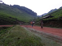 DSCN2296