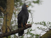DSCN2364