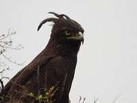 DSCN2387